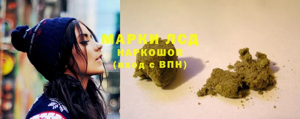 сатива Баксан