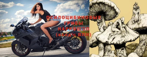 дживик Армянск