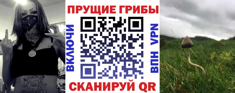 Галлюциногенные грибы ЛСД  дарк нет телеграм  Льгов 